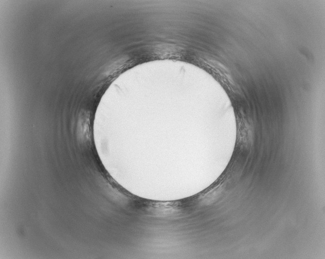 X0000115500622200912181425