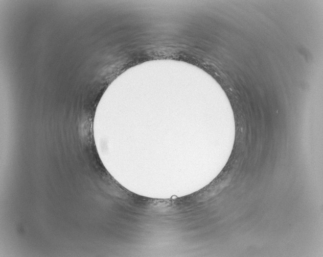 X0000115500624200912181425