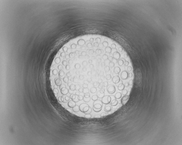 X0000115500626200912181424
