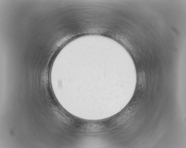 X0000115500632200912181424