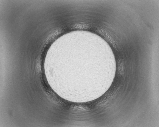 X0000115500635200912181424