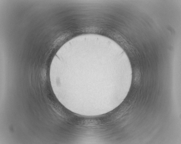 X0000115500636200912181425