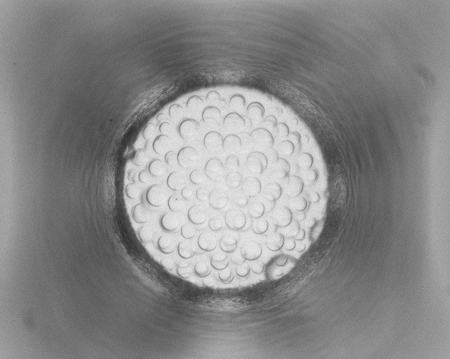 X0000115500638200912181425