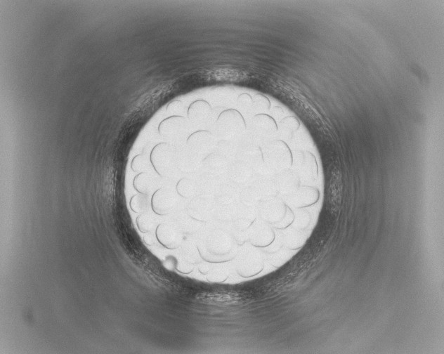 X0000115500639200912181425