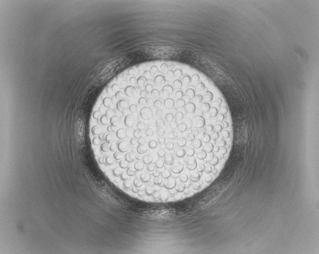 X0000115500646200912181425