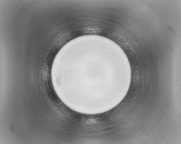X0000115500647200912181425