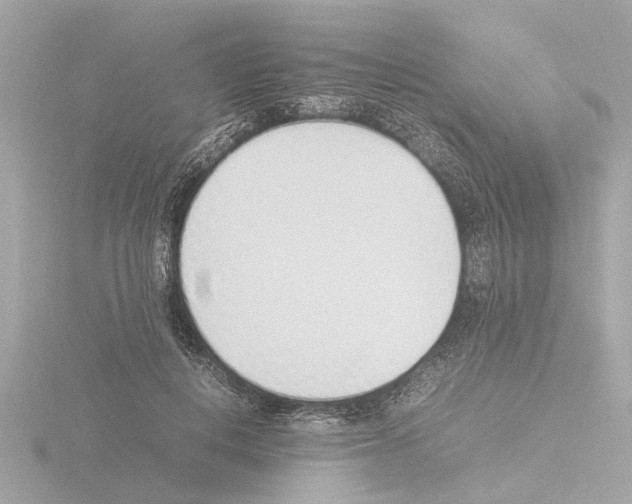 X0000115500648200912181425