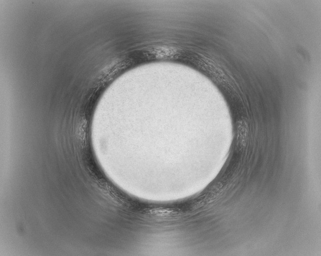 X0000115500650200912181425