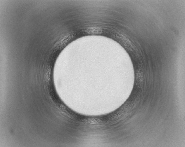 X0000115500652200912181425