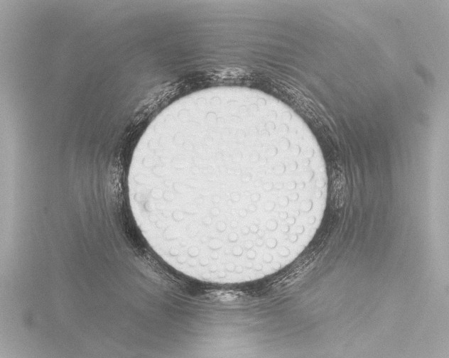 X0000115500654200912181425