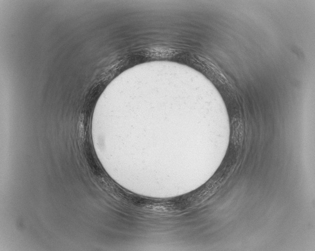 X0000115500655200912181425