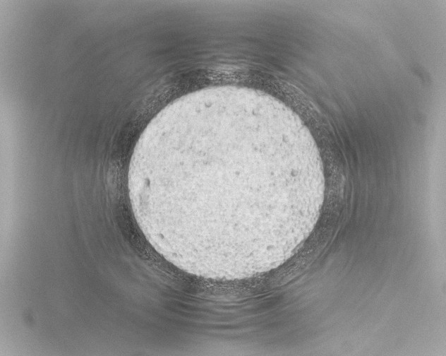 X0000115500659200912181425