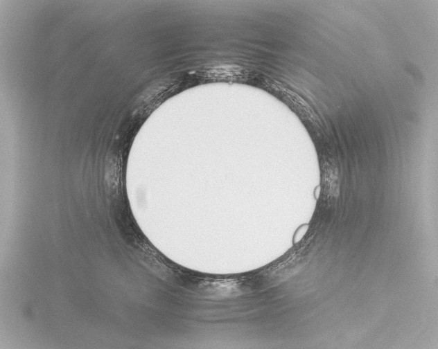 X0000115500665200912181425