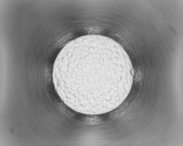 X0000115500666200912181425