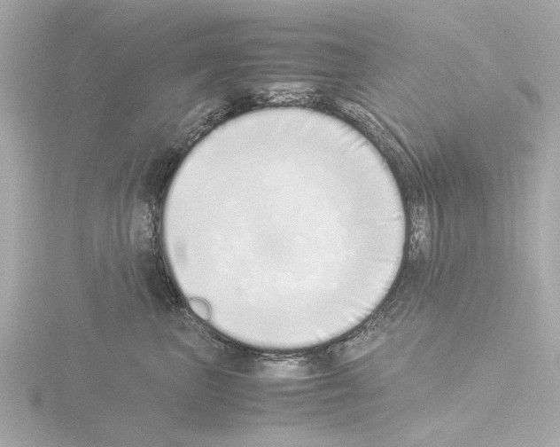 X0000115500667200912181425