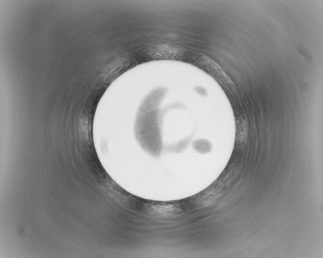 X0000115500669200912181425
