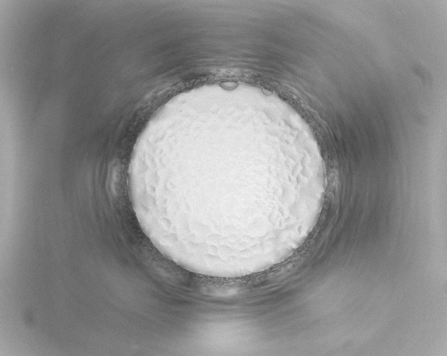 X0000115500671200912181425