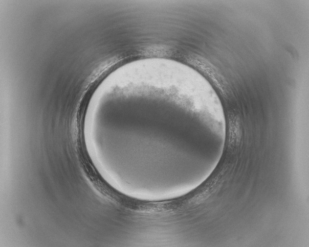 X0000115500674200912181424