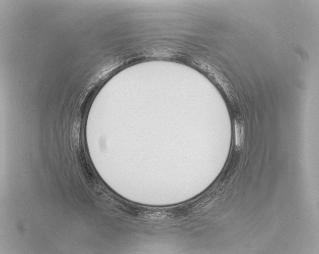 X0000115500675200912181424