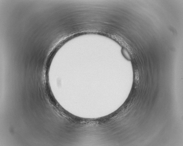 X0000115500676200912181424