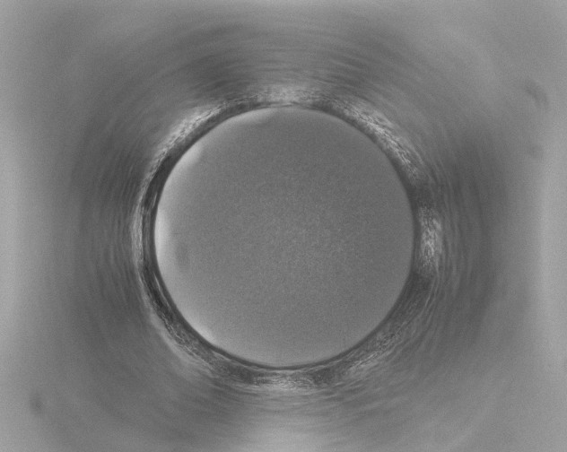 X0000115500678200912181424