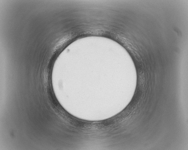 X0000115500679200912181424