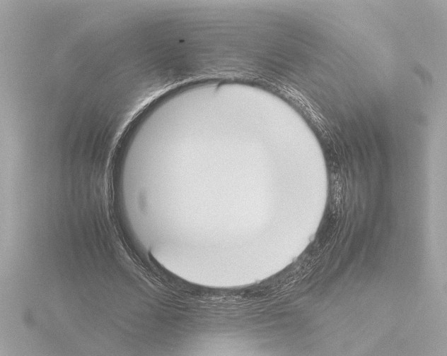 X0000115500680200912181424
