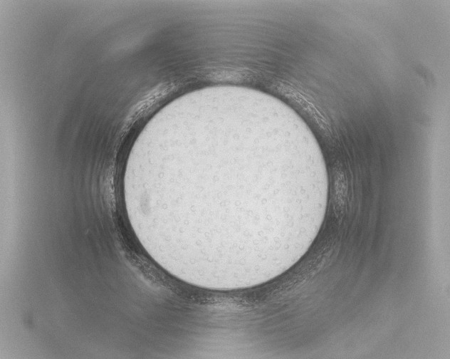 X0000115500682200912181424