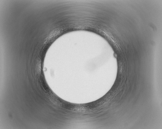 X0000115500685200912181424