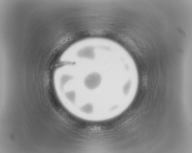 X0000115500687200912181424