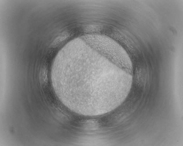 X0000115500692200912181424