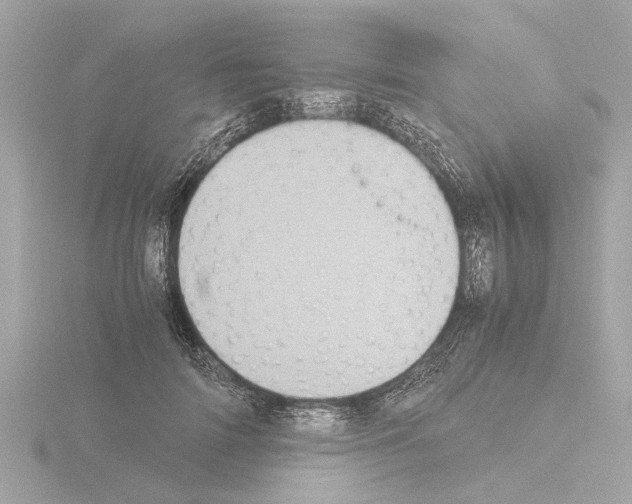 X0000115500698200912181424