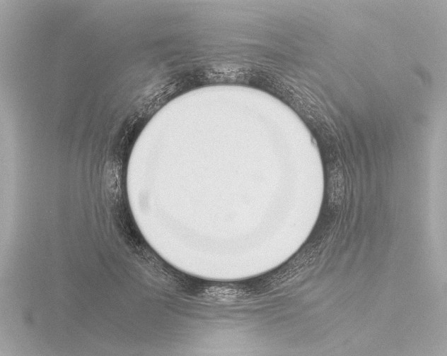 X0000115500699200912181424
