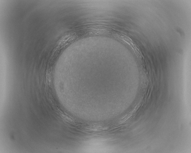X0000115500701200912181424