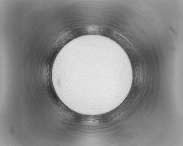 X0000115500702200912181424