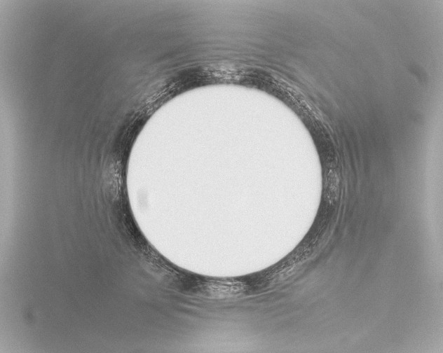 X0000115500707200912181424