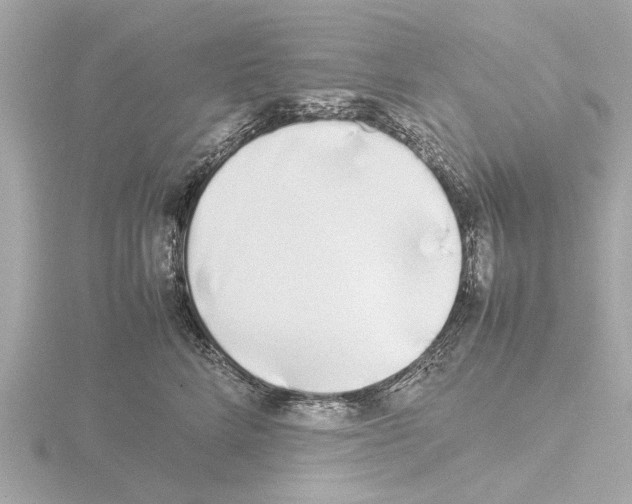 X0000115500712200912181424
