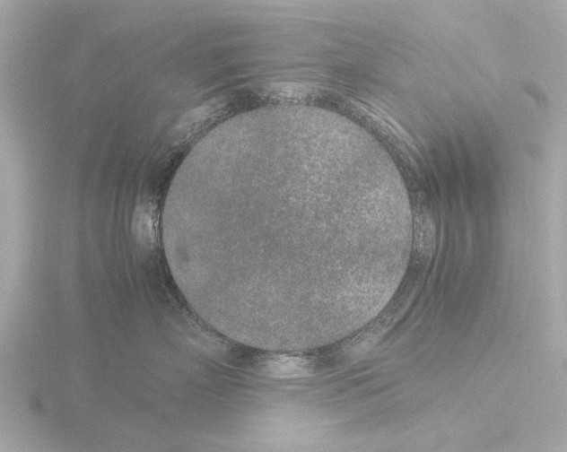 X0000115500718200912181424