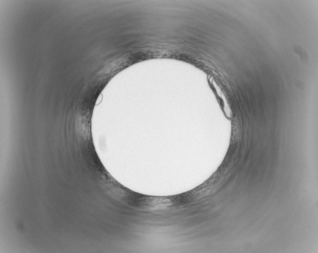X0000115500719200912181424