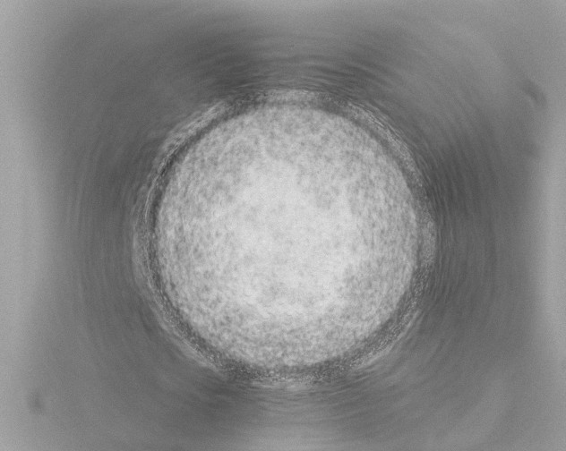 X0000115500721200912181423
