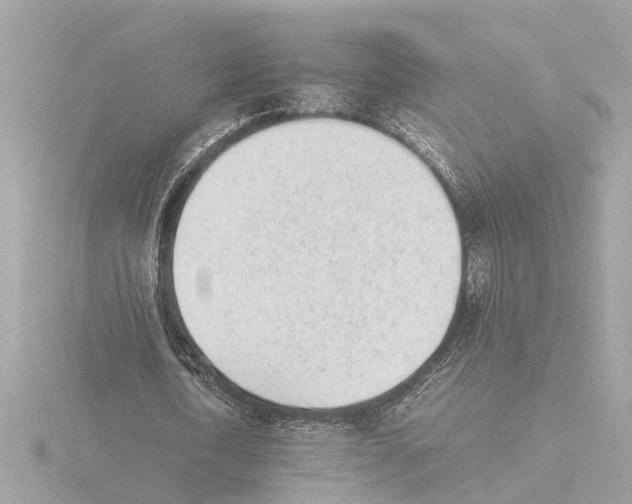 X0000115500722200912181423