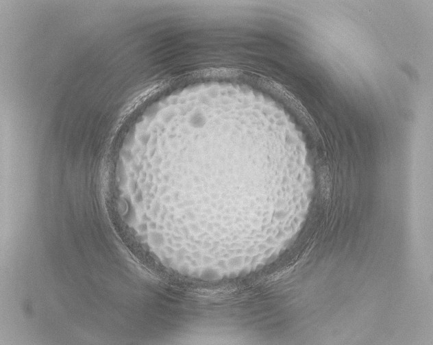 X0000115500725200912181423