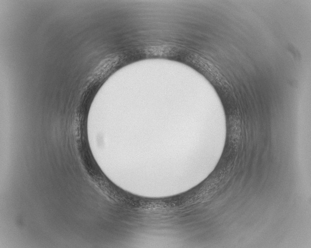 X0000115500738200912181423