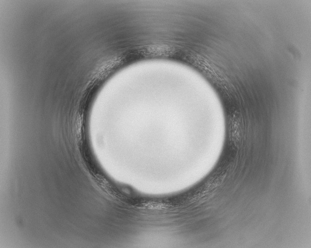 X0000115500742200912181423