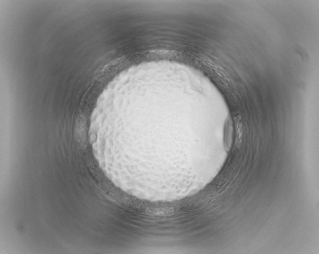 X0000115500745200912181423