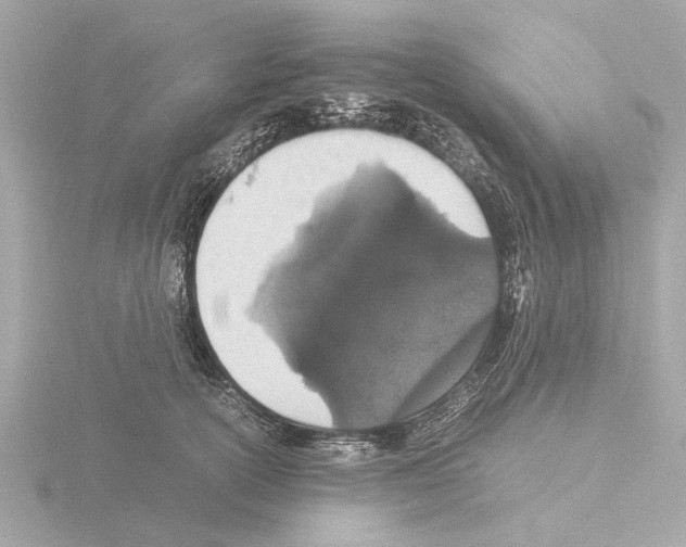 X0000115500754200912181424