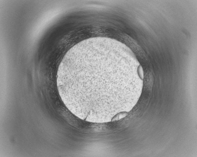 X0000115500762200912181424