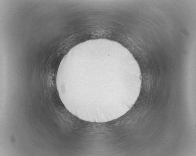 X0000115500770200912181423