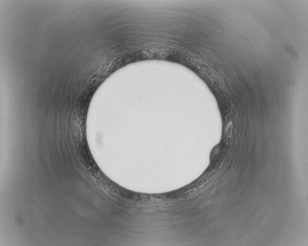 X0000115500772200912181423