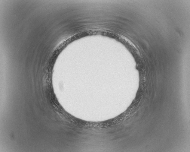 X0000115500775200912181423